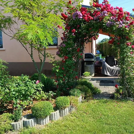 Aluxhaus Apartamento *